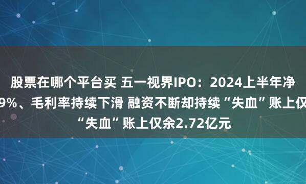 股票在哪个平台买 五一视界IPO：2024上半年净亏损率195.9%、毛利率持续下滑 融资不断却持续“失血”账上仅余2.72亿元