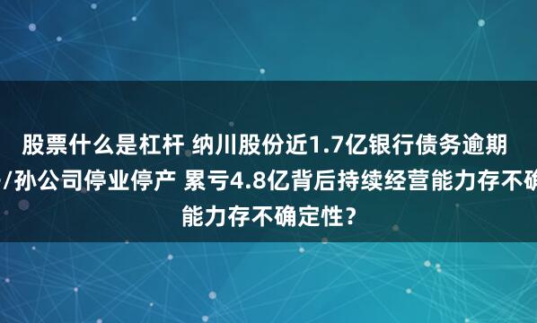 股票什么是杠杆 纳川股份近1.7亿银行债务逾期 重要子/孙公司停业停产 累亏4.8亿背后持续经营能力存不确定性？