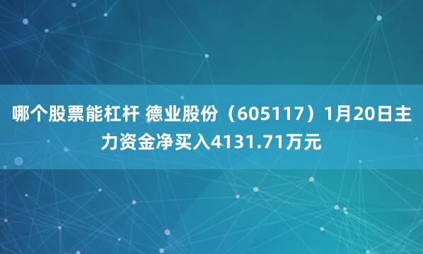 哪个股票能杠杆 德业股份（605117）1月20日主力资金净买入4131.71万元