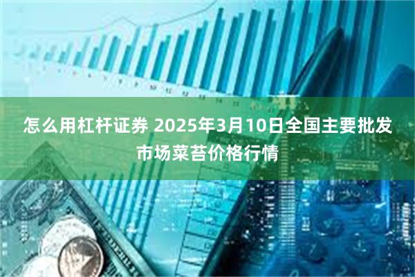 怎么用杠杆证券 2025年3月10日全国主要批发市场菜苔价格行情